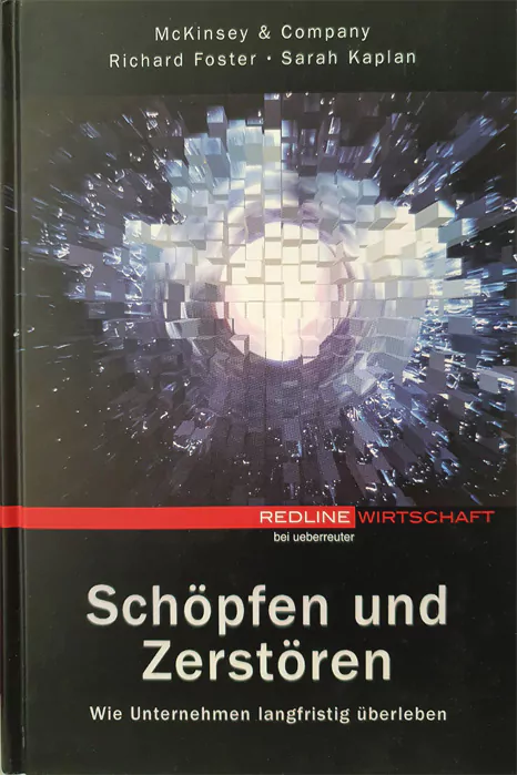 Deutsche Version des Weltbestsellers "Creative Destruction"